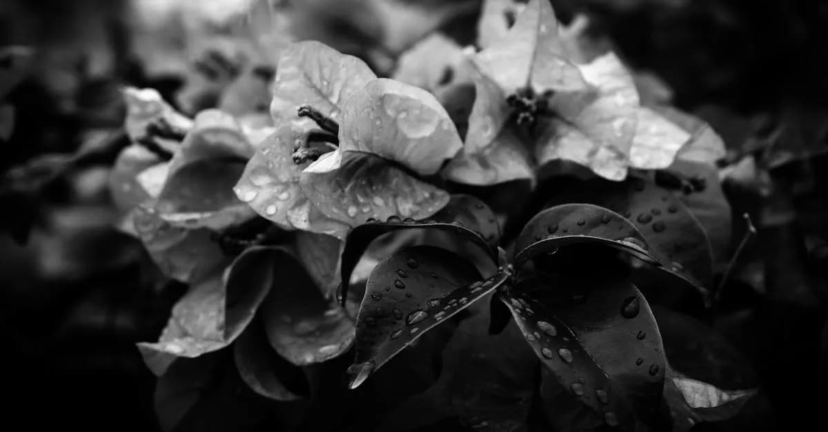 Taras w ogrodzie: 5 błędów których musisz uniknąć